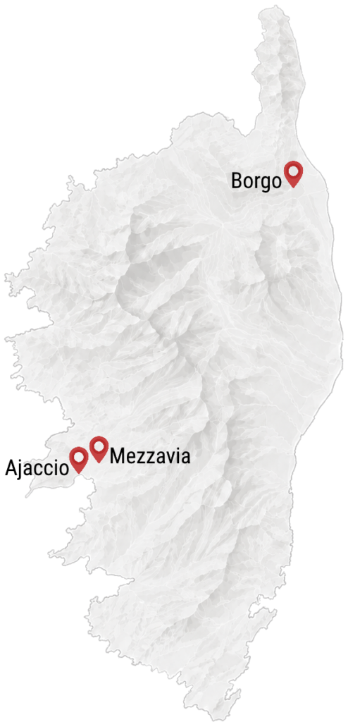 corse pin