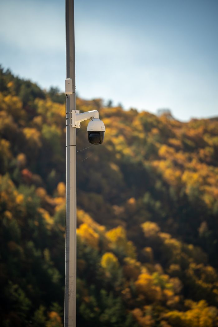 CCTV camera on a pole with vibrant autumn foliage in the background, ensuring safety.